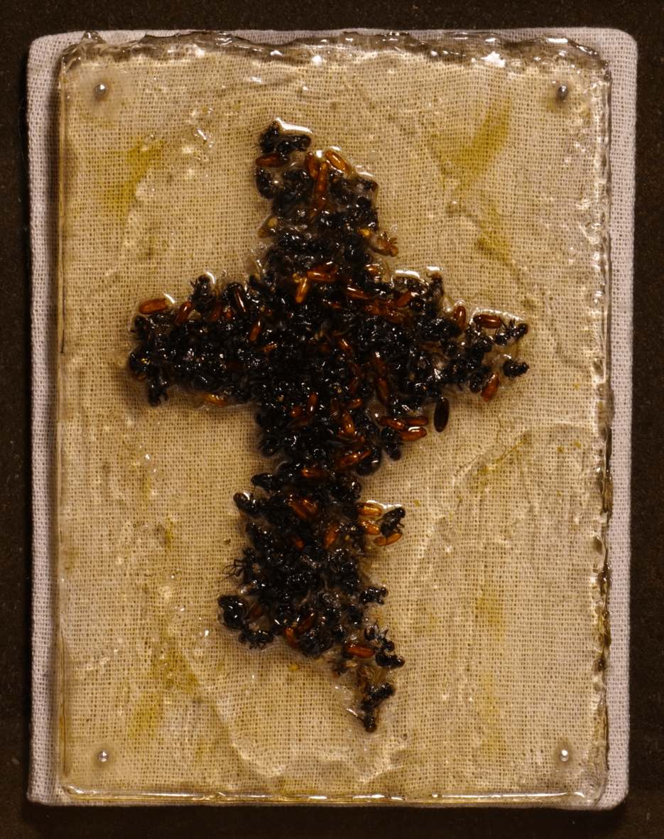 蝿 蛆 Pilgrims 巡礼者 cross jesus christ 十字 art 芸術 akichiaki 空地空