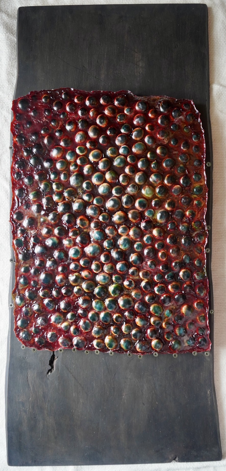 pūpillae 瞳 art pupil 作品 akichiaki 空地空 目 eys 芸術