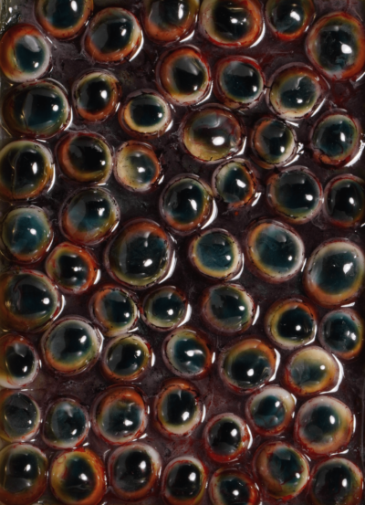 pūpillae 瞳 art pupil 作品 akichiaki 空地空 目 eys 芸術