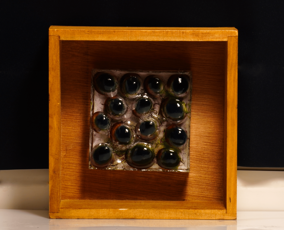 pūpillae 瞳 art pupil 作品 akichiaki 空地空 目 eys 芸術